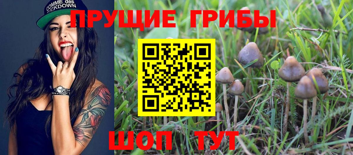 Галлюциногенные грибы Cubensis  Галлюциногенные грибы ЛСД  Первоуральск  Вход с VPN 
