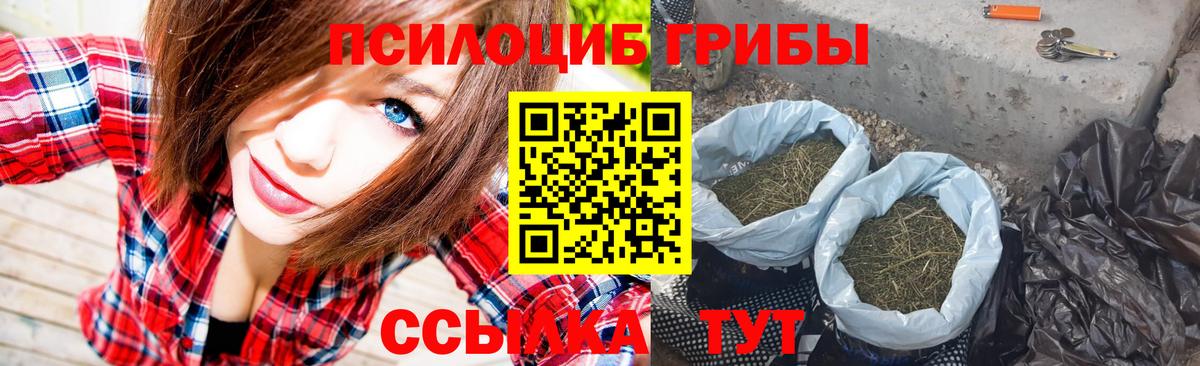 Галлюциногенные грибы GOLDEN TEACHER Первоуральск